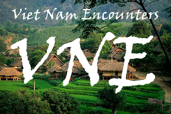 VNE Logo